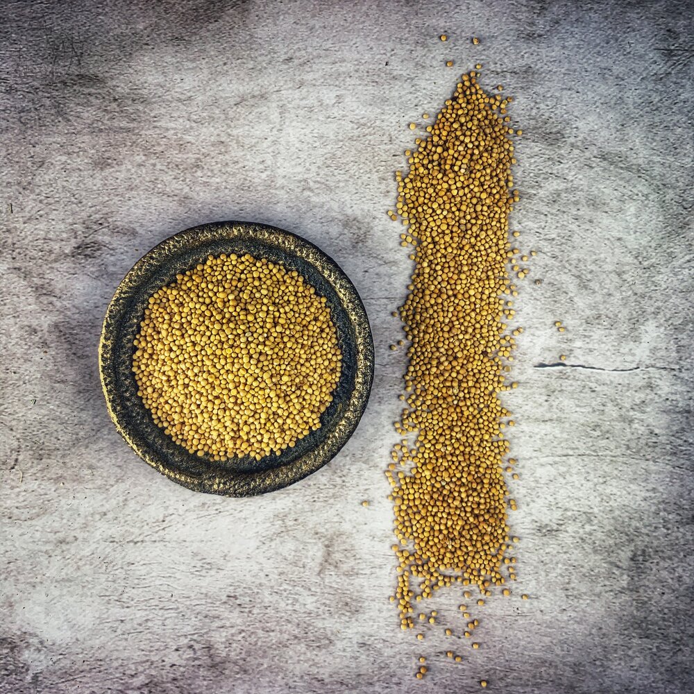 Mustard Seed (Yellow) - Organic