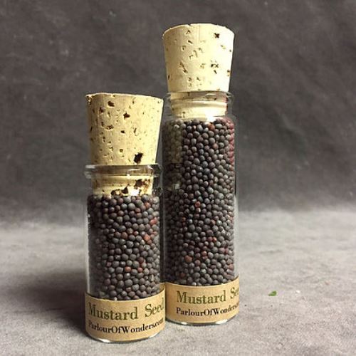 Eye of Newt (Black) - Organic