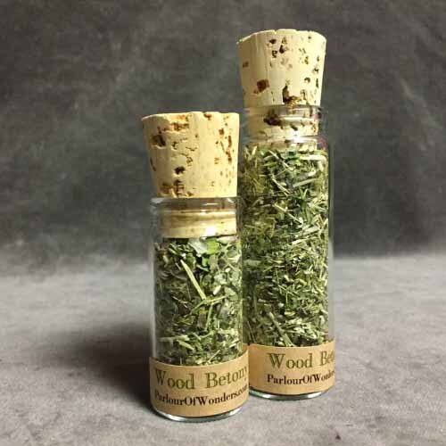 Wood Betony - Organic