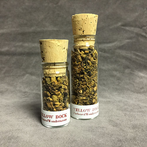 Yellow Dock - Organic