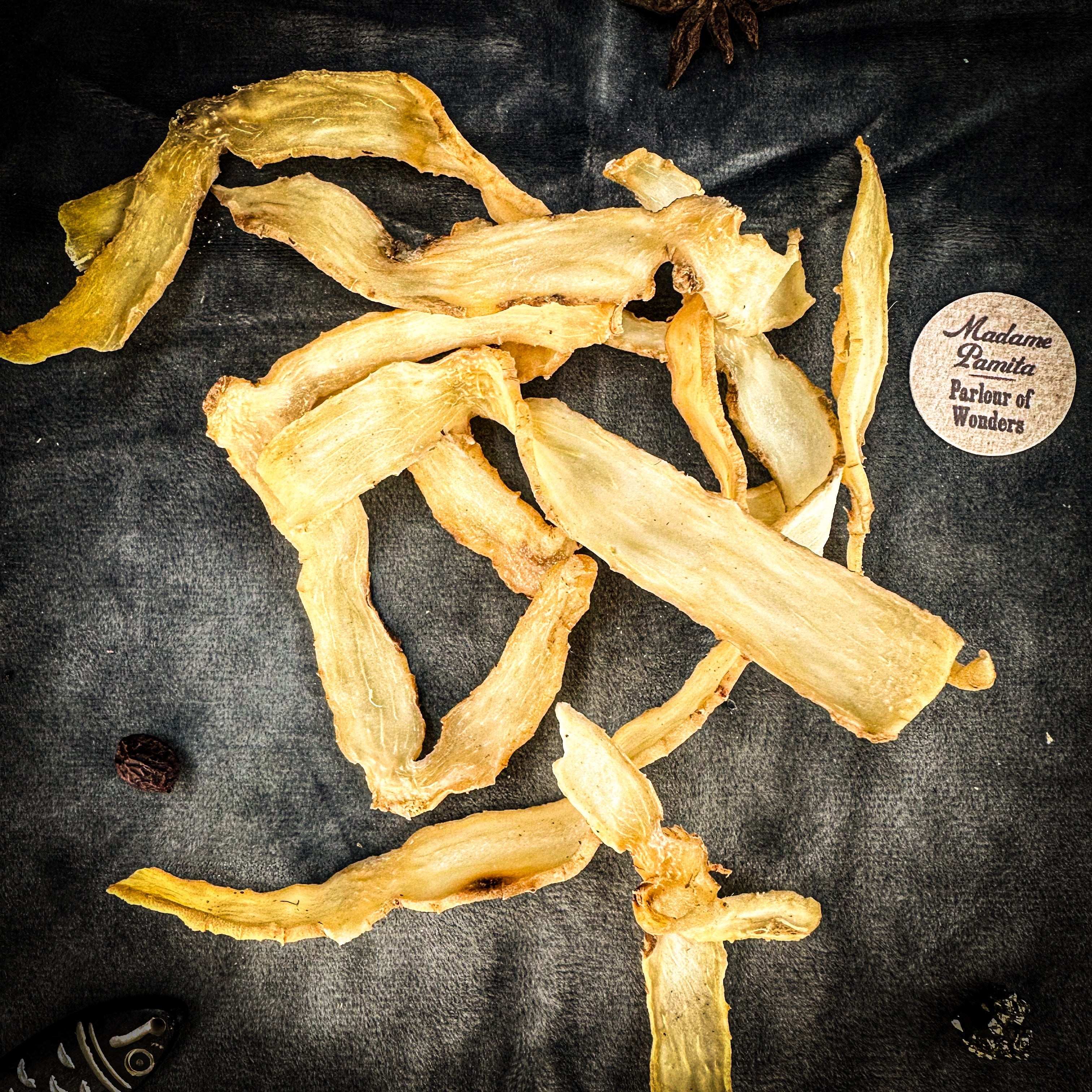 Lady's Seal Root - Slices