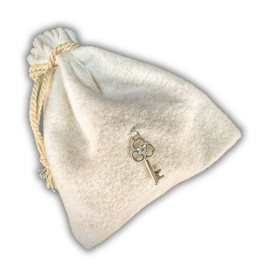 Van Van Cleansing Mojo Bag Kit - Regular Strength